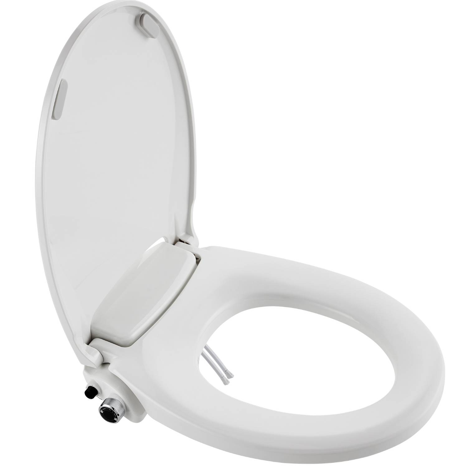 Toilet Seat and Bidet: image 4