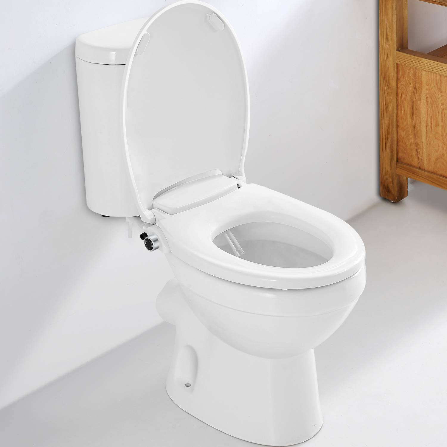Toilet Seat and Bidet: image 6